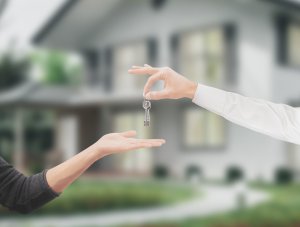 Denver Home Trends